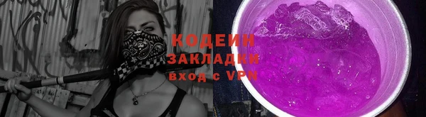 прущие крисы Горняк