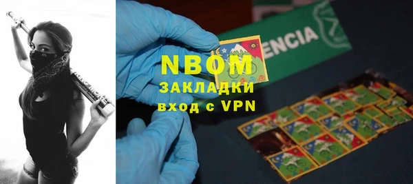 прущие крисы Горняк