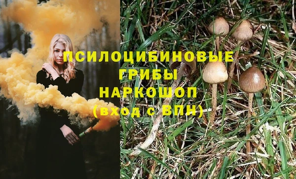 прущие крисы Горняк