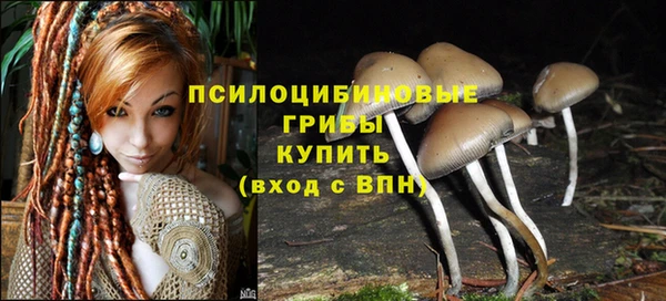 spice Горнозаводск