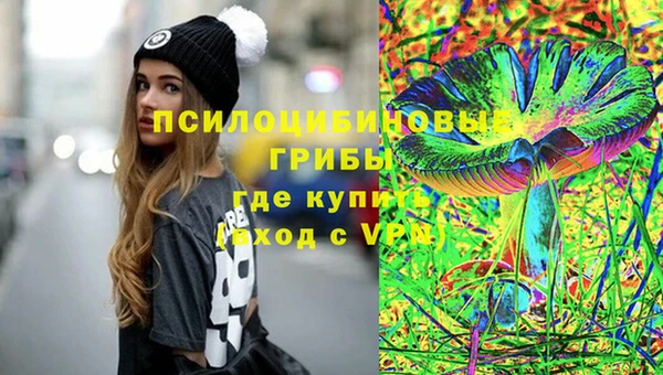 spice Горнозаводск